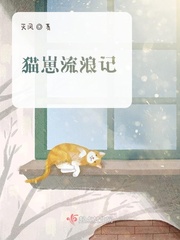 猫流浪记动画片