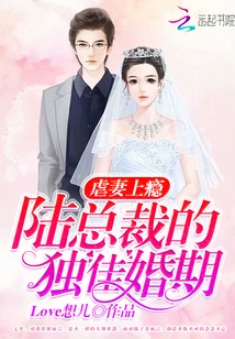 虐妻上瘾:陆总裁的独佳婚期