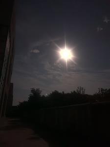 第七传人小说百度百科